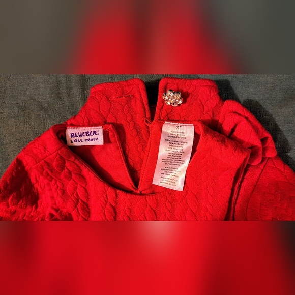 ❤️ LIKE NEW*BLUEBERI BOULEVARD TODDLER 2PIECE JACKET/ SLEEVELESS DRESS❤️ SIZE 3T - Picture 5 of 16